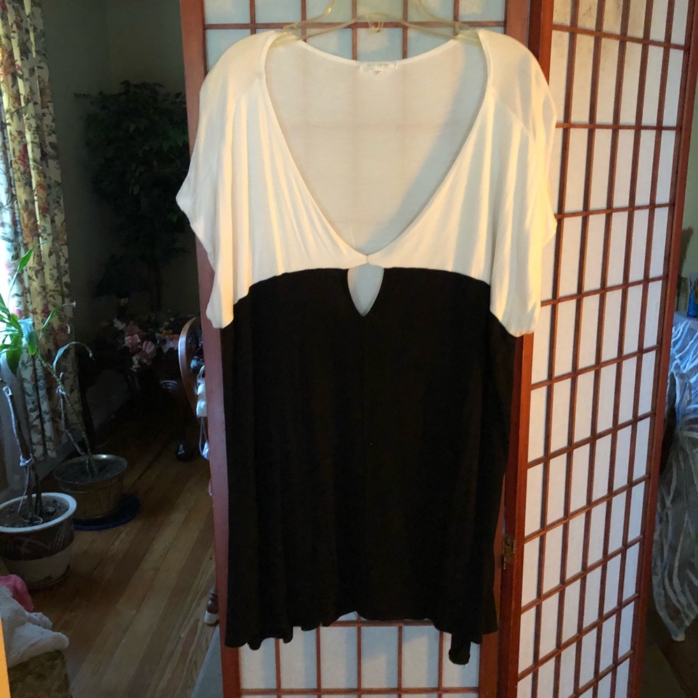 Ava James shirt size 2X